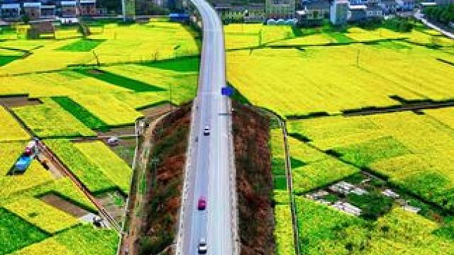 阳春三月，踏春赏花的好时节！#万亩油菜花织就田园画卷 #美丽的油菜花 #阳春三月春暖花开 #春天的味