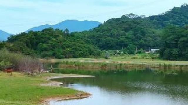 广州周边居然藏着这片秘境！99%的人不知道的露营地，星空下过夜美哭了！#自驾游 #户外 #治愈系风景