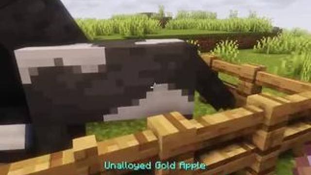 #我的世界 #Minecraft