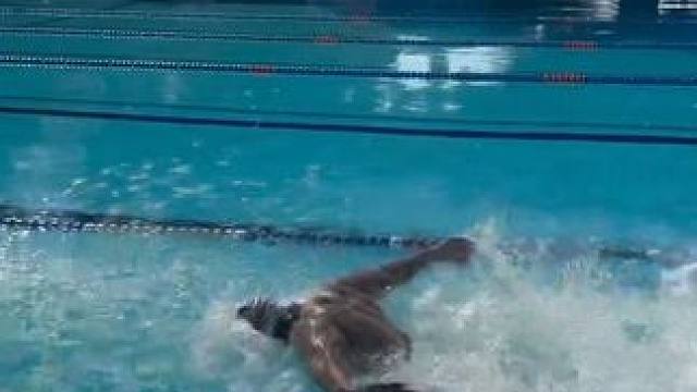 蝶泳冲刺真的太帅了8个动作25米距离觉得算什么水平？ #游泳打卡 #跳发 #游泳我是认真的 #蝶泳 