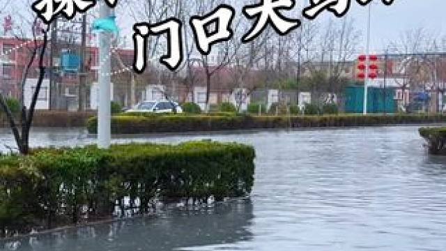 一睁眼 谁把河给我搬家门口来了 #钓鱼 #钓鱼视频 #野钓 #钓鱼日记 #老坛酒米