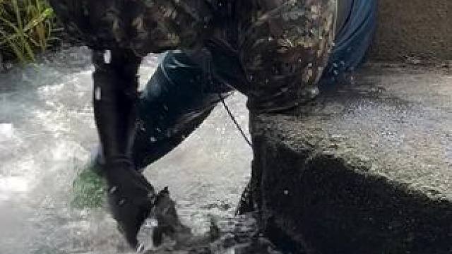 抓鱼#户外抓鱼 #原来抓鱼也可以很轻松 #抓鱼