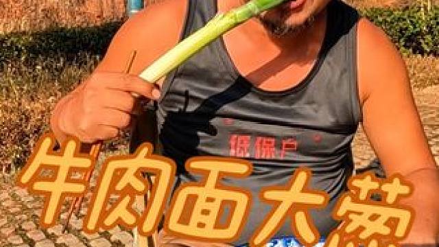 人生的意义就是一碗面，配上大葱吃，浑身都轻松#穷游 #