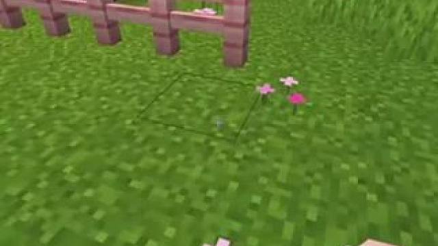 #我的世界 #Minecraft