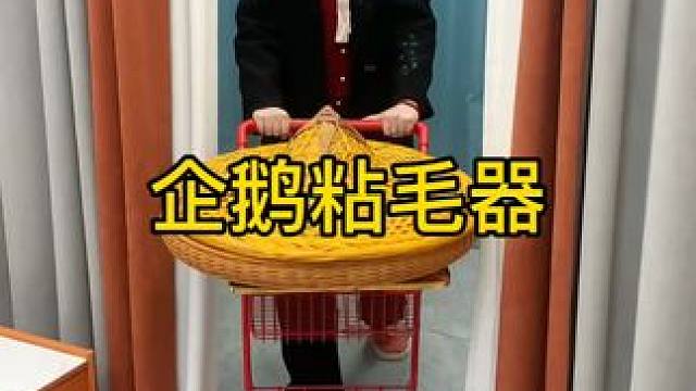 企鹅粘毛器 神奇的粘毛器!不仅能轻松清理头发和猫猫狗狗掉落的毛发，水一冲就干净能继续用了 #粘毛神器