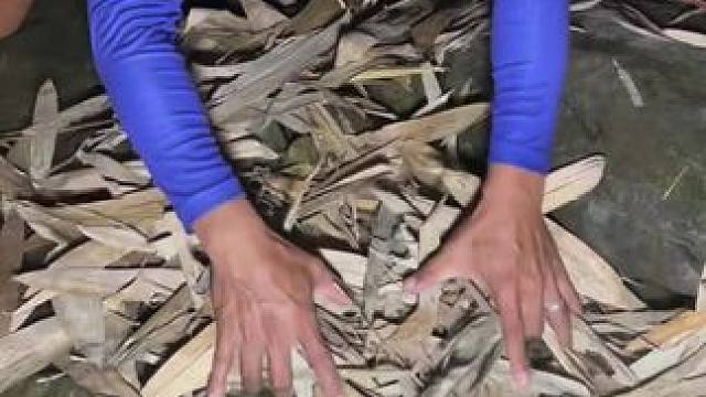 好多虾#逮鱼摸虾#虾#抓虾