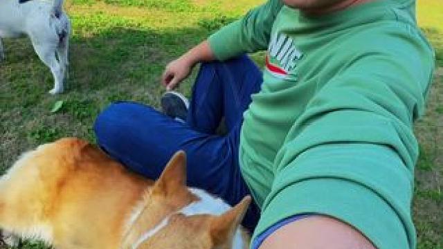 2025.3.3 松弛的一天#萌宠日常记录 #狗狗的休闲时光 #柯基 #欢乐的狗子 #户外