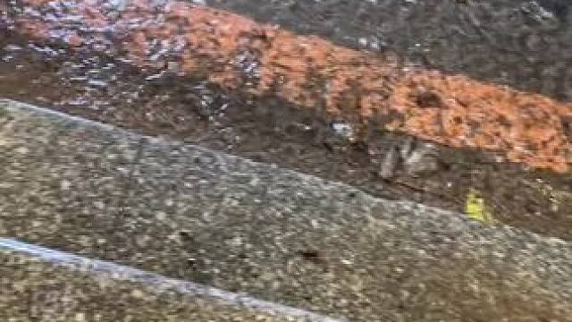 “如果你也见到了
这场雨，那就当我们见过面吧”#下雨了我说的不是天气 #治愈自己