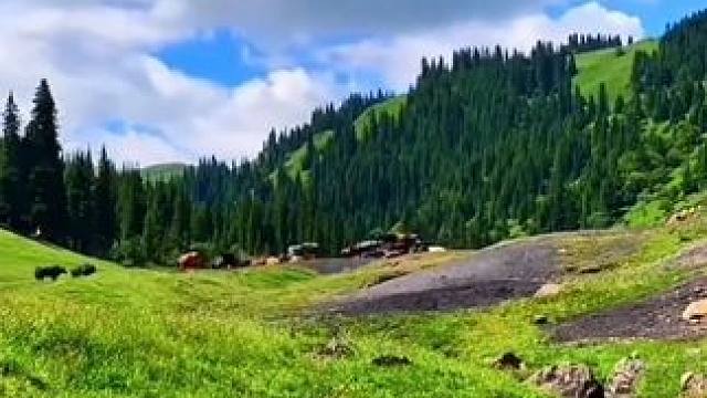 已经开始期待新疆的夏天了#旅行 #新疆 #治愈系风景