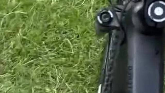 遛狗？ #dou来休息一下 #危险动作请勿模仿 #狗狗的心思都写在脸上了