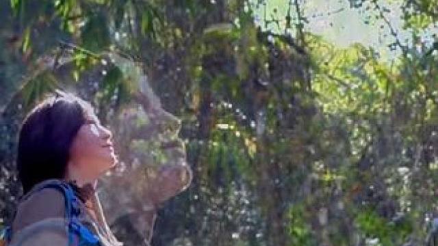 开启你的雨林冒险之旅 与自然共舞，感受生命的律动#感受大自然的气息和美景 #捷途自由者 #旅行家女子