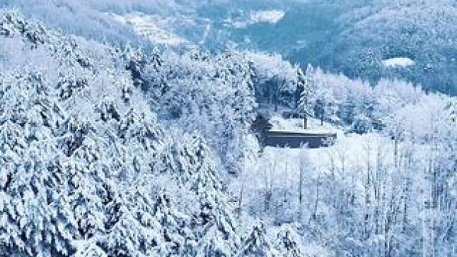 春天曾家山的北国风光美如画#三月的雪 #雪树银花  #春来广元#一场大雪美如画 #旅行推荐官