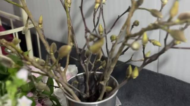 这个春天肯定很不错