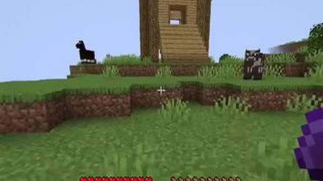 #我的世界 #Minecraft