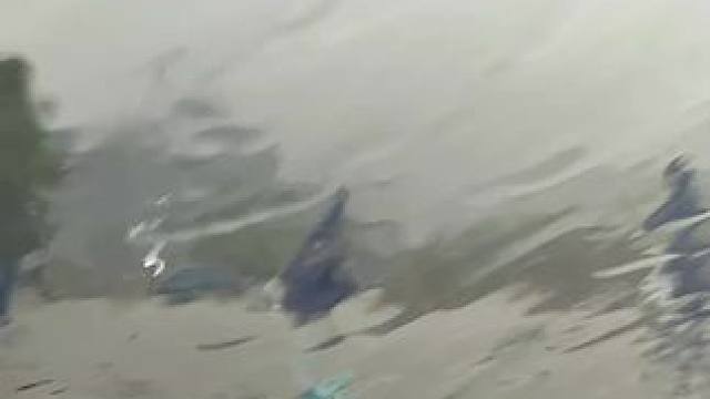 一声惊雷响，大鱼开口忙 下雨了，改个行程