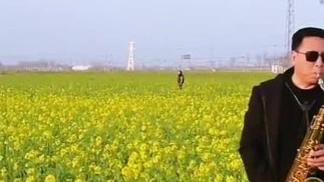 #阳春三月春暖花开 #油菜花儿开 ！