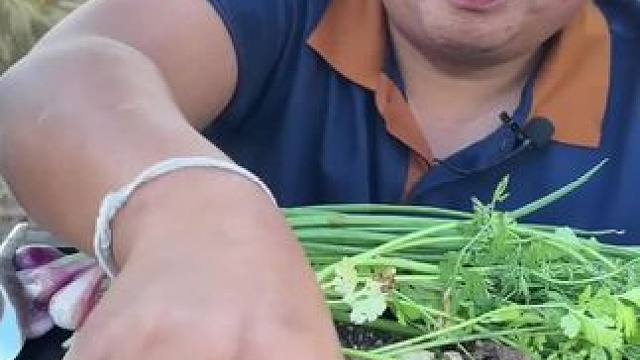 泰国大补牛胎盘 #我的农村生活 #农村美食记录生活 #我的乡野山居生活 #粗茶淡饭吃起香农村生活 #