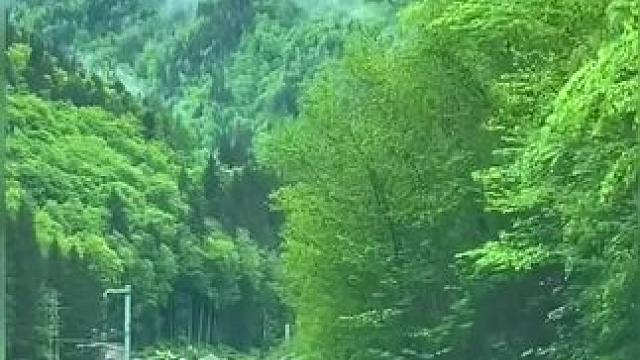 #感受大自然的气息和美景 #治愈系风景