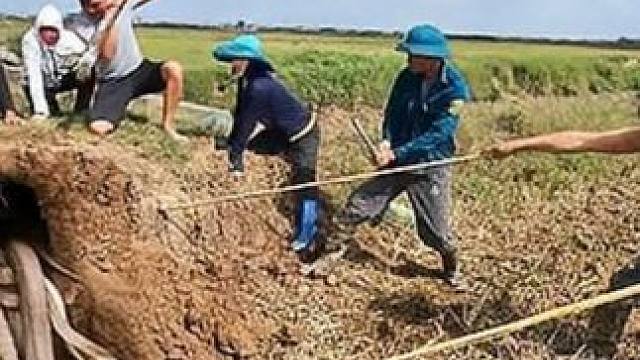 越南四名男子作死，跑到原始丛林掏土洞，最后竟捉到几十条眼镜蛇 #蛇类科普 #奇闻奇事 #眼镜王蛇 #