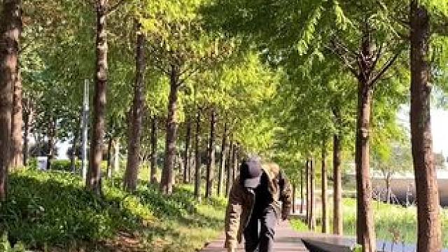 看到林荫小道试试这样拍太美了#手机摄影 #拍摄技巧 #林荫小道 #治愈系 #治愈系风景