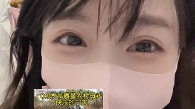 连鸡都有了vlog…#网友神评论 #内容过于真实 #网友留言太搞笑