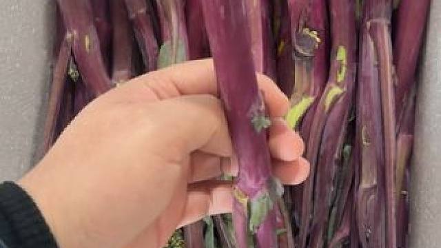 看看今天这个活，到底正不正经 #电脑