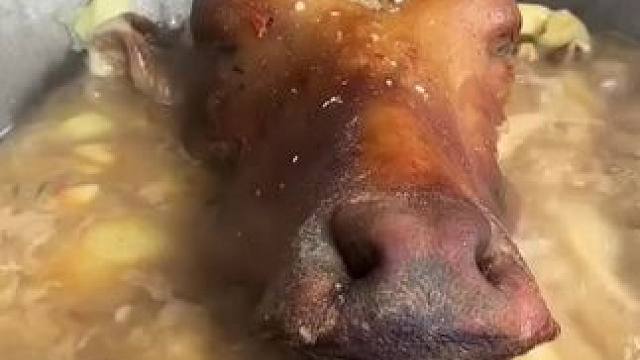 牛头宴 #我的农村生活 #农村美食记录生活 #我的乡野山居生活 #晒美食是对平凡生活的热爱 #爱生活