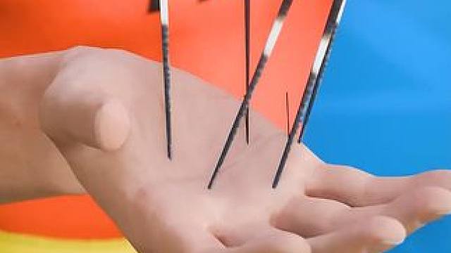 豪猪刺该怎么拔下来？ #内容启发搜索 #科普 #涨知识