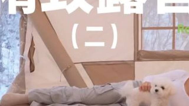 精致露营（二）#露营 #解压 #助眠 #萌宠 #户外露营
