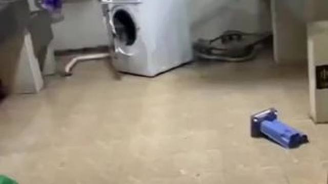 #好物推荐 #生活好帮手 #实用好物分享 #洗衣机 #洗衣机脚垫