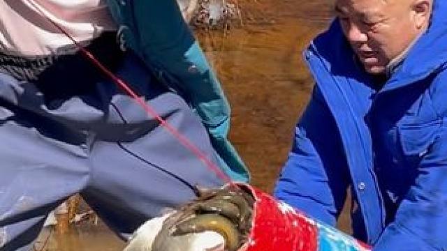 #户外捕鱼 #好多鱼