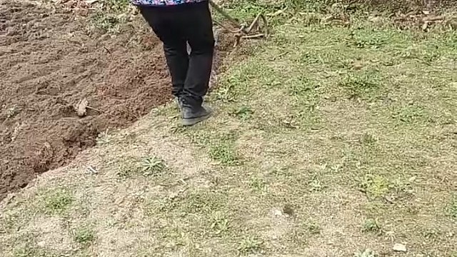 我们这叫幸福犁