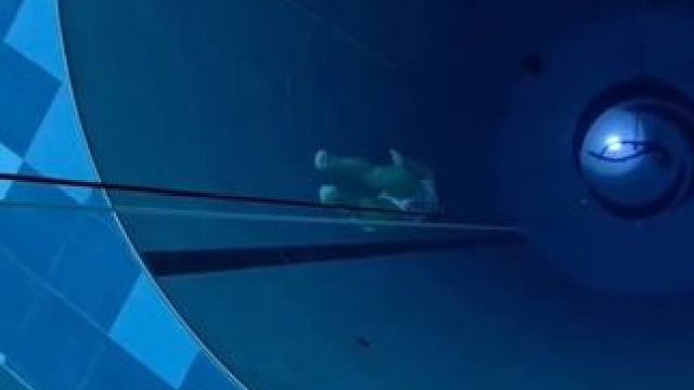 自由潜水一口气下潜40深水区，沉浸式感受一下压迫感！ #游泳技巧 #游泳打卡 #水下憋气 #自由潜水