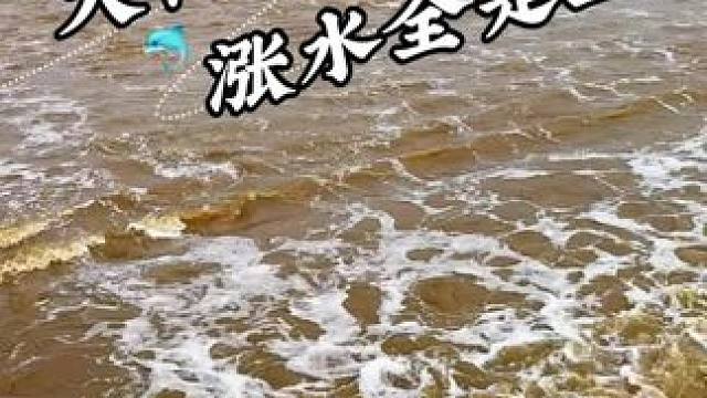 什么情况怎么哪哪都是鱼啊 #钓鱼 #钓鱼视频 #野钓 #户外钓鱼#老坛维它米