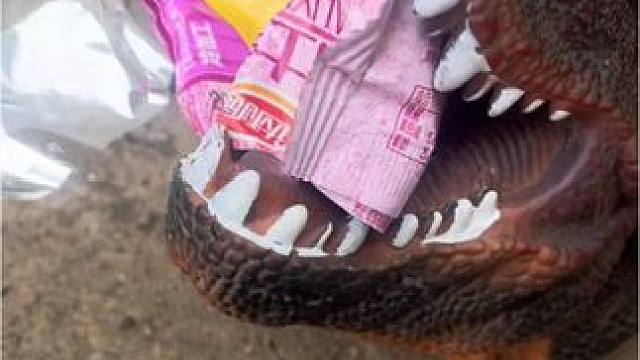 我的好吃的被哪个坏蛋偷吃了#童年玩具 #儿童乐趣 #儿童玩具