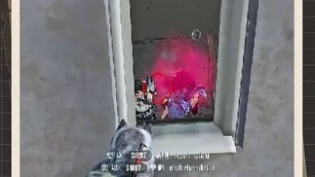 坑人的窗户我真的服了