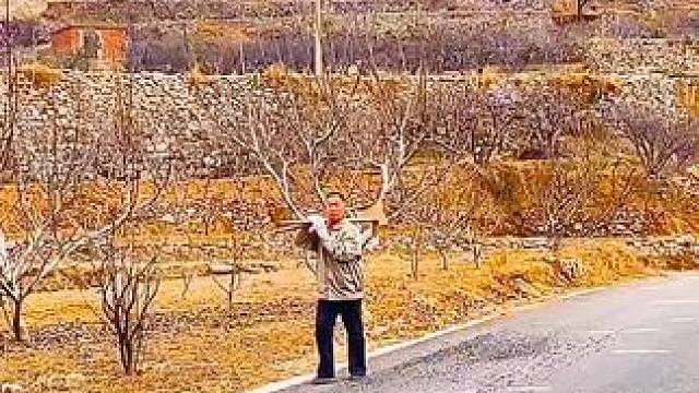 #农村生活 #田间地头走一走 #卢张村 ，初春去坡里干活的乡亲。