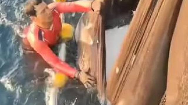 #讨海人 #捕鱼达人 #渔民日常 #渔船捕捞实拍 #渔民出海捕鱼 