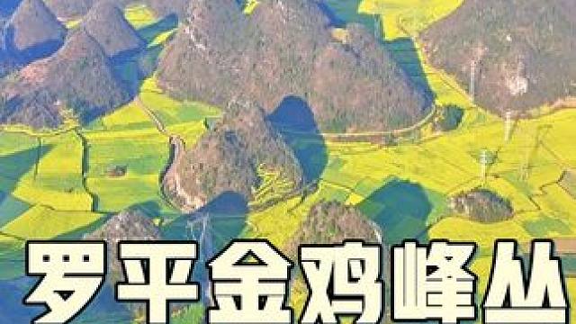 总要去一趟云南罗平吧，金鸡峰丛一望无际的金色油菜花开得很灿烂了。#云南美好推荐官 #云南dou知道 