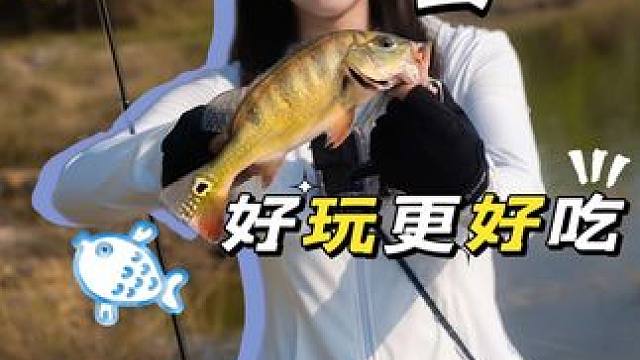 国内只有海南能钓到的鱼种，我也是解锁啦顺便钓了比脸还大的罗飞～哈哈，萌萌牌鱼汤豆腐青菜面诞生，出门在