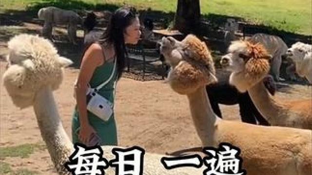 每日一遍，烦恼再见#看一遍笑一遍 #人类迷惑行为 #倒霉蛋 #防止抑郁