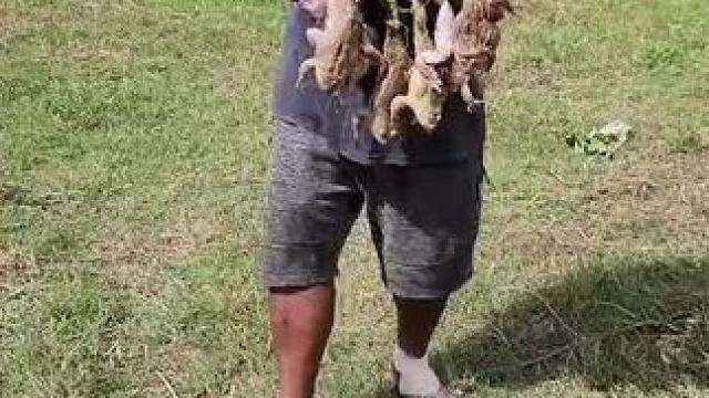 东南亚特色美食 #我的农村生活 #农村美食记录生活 #我的乡野山居生活 #粗茶淡饭吃起香农村生活 #