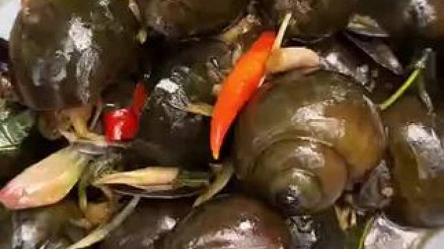 东南亚矮子 #舌尖上的美食 #东南亚美食 #田园生活乐趣多 #大自然的馈赠 #香辣田螺