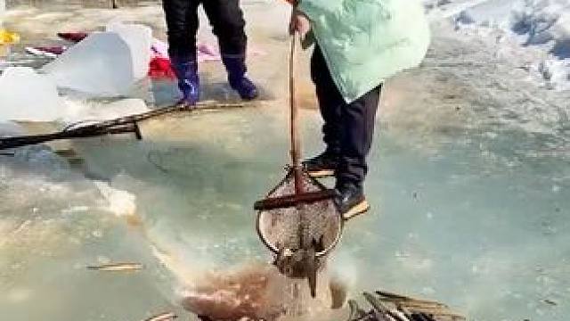 #户外捕鱼 #好多鱼