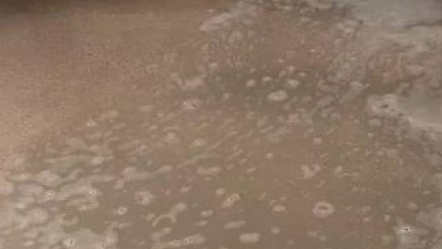 我发布了一个新视频，快来围观吧！