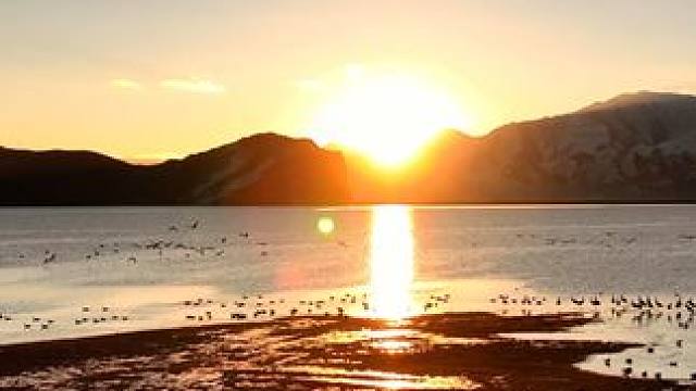 嘿，我是黑颈鹤，你知道冬天我们都在干些什么嘛？