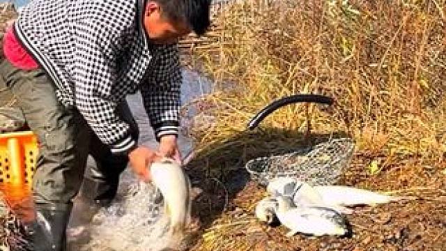 #户外捕鱼