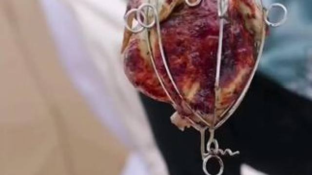 户外烤鸡 #露营报告 #露营美食报告