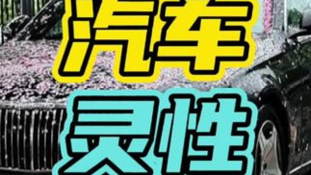 汽车真的有灵性吗？#汽车 #灵性 #感情