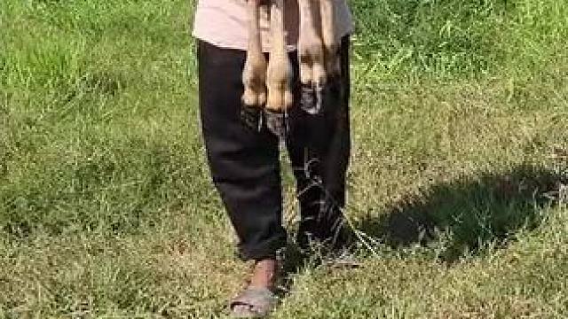 东南亚大叔户外野餐 #东南亚美食#东南亚大叔#泰国美食